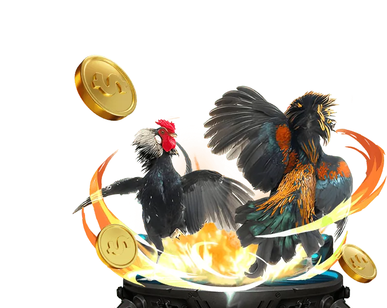 Chính sách Cookie và quản lý dữ liệu tại Xóc Bầu Cua